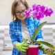 woman potting orchid 6 Indoor Plants to Help You Beat the Winter Blues