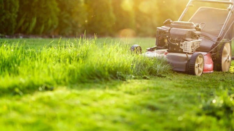 header image for the best commercial self-propelled lawn mower post on sunco.com