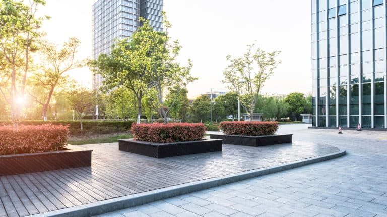 photo showing commercial building landscaping in front of an office