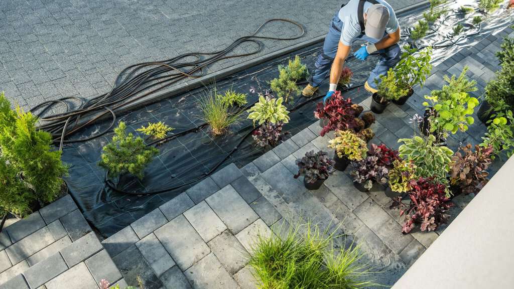 photo showing a man installing plants on top of commercial landscaping fabric