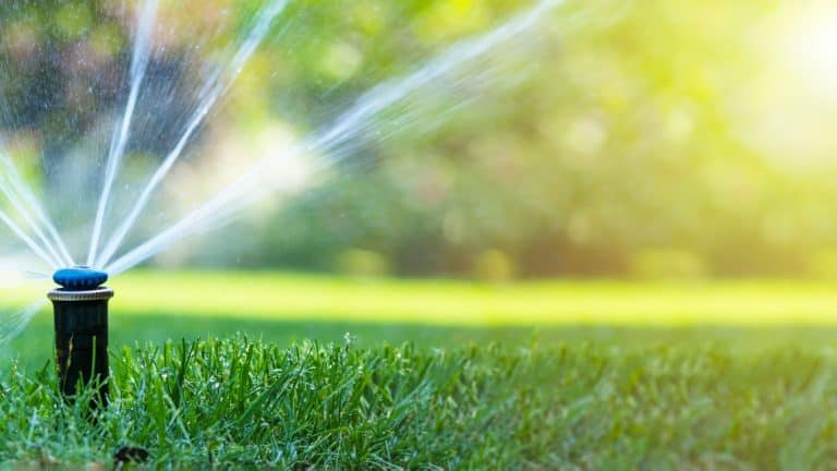 photo showing commercial lawn irrigation watering grass