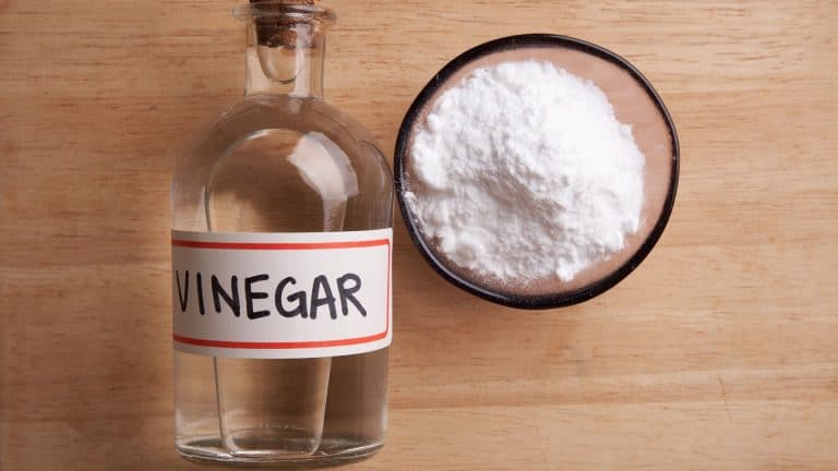 stock photo for does vinegar kill weeds post on SunCo blog