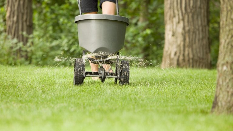 image showing a man pushing a spreader that is dropping fertilizer on grass - for lawn fertilizer post on SunCo