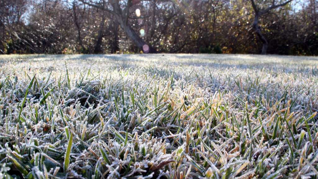 The Importance of Planning Winter Fertilization