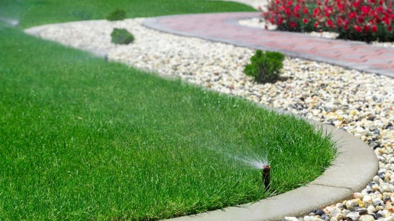 an image showing a sprinkler watering grass for the how long to water grass post on SunCo blog