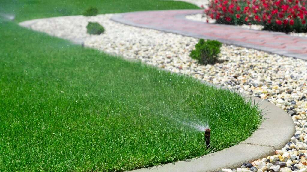 How Long to Water Grass? Ideal Duration, Frequency & Key Factors